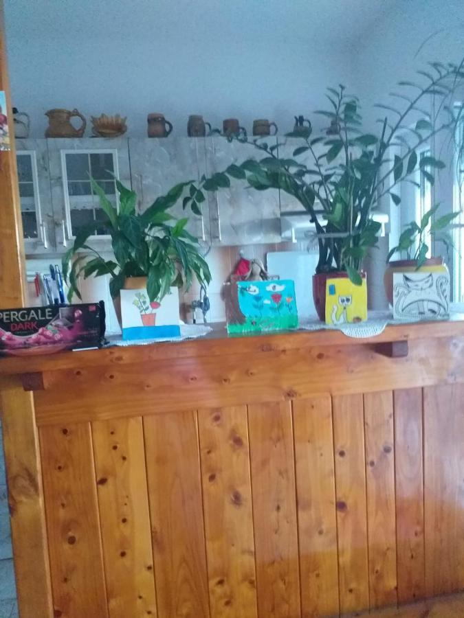 Katica Appartement *